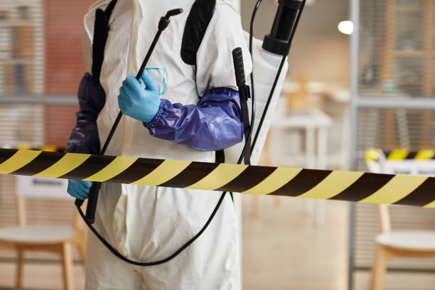 Professional Sewage Cleanup technician working in Naples, TX